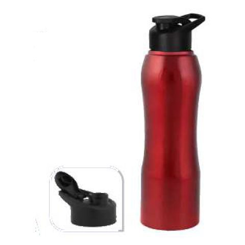 Stainless steel sports bottle with flip cap