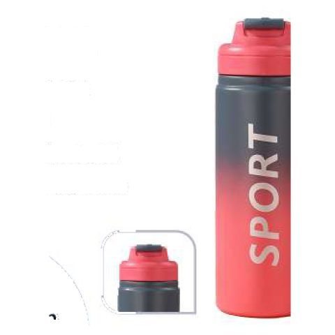Vacuum insulated bottle, 600 ml