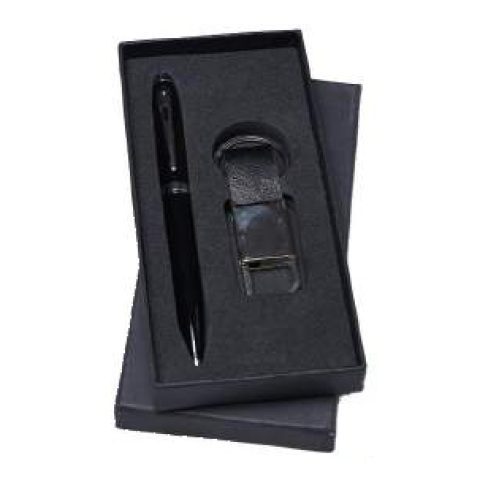 2-in-1 gift set: Metal keychain + Metal ball pen