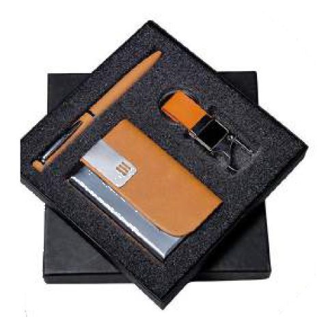 3-in-1 gift set: Metal ball pen + Metal keychain + VC card holder