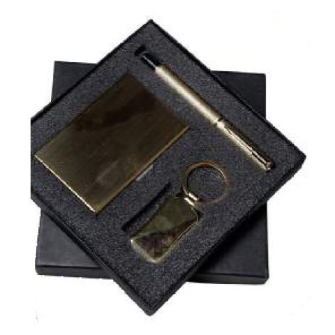 3-in-1 gift set: Metal ball pen + Metal keychain + VC card holder