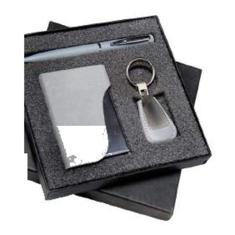 3-in-1 gift set: Metal ball pen + Metal keychain + VC card holder
