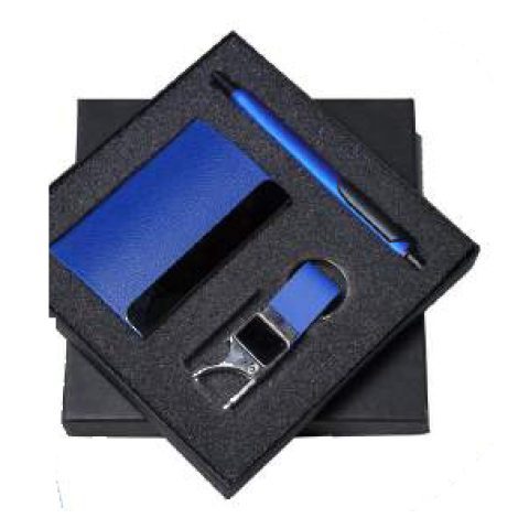 3-in-1 gift set: Metal ball pen + Metal keychain + VC card holder