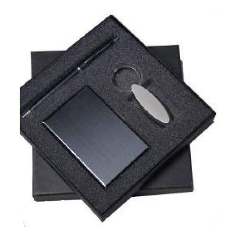 3-in-1 gift set: Metal ball pen + Metal keychain + VC card holder