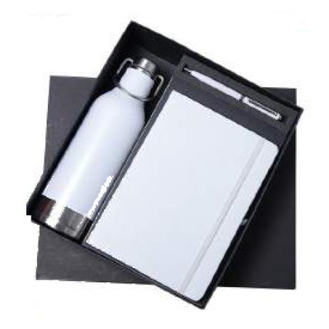 3-in-1 gift set: Metal pen + Diary + Metal bottle