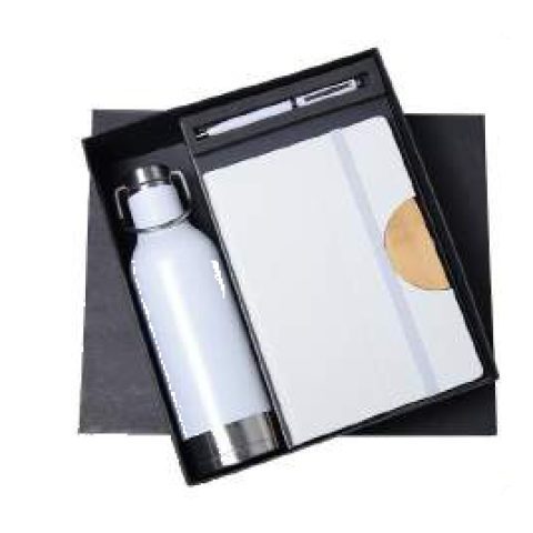 3-in-1 gift set: Metal pen + Diary + Metal bottle